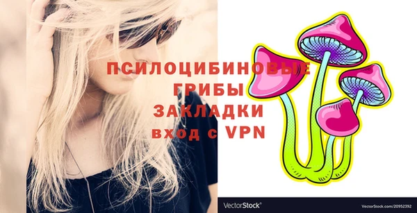 дурь Осинники