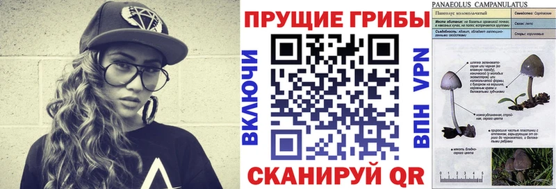 мориарти официальный сайт Лыткарино Галлюциногенные грибы GOLDEN TEACHER