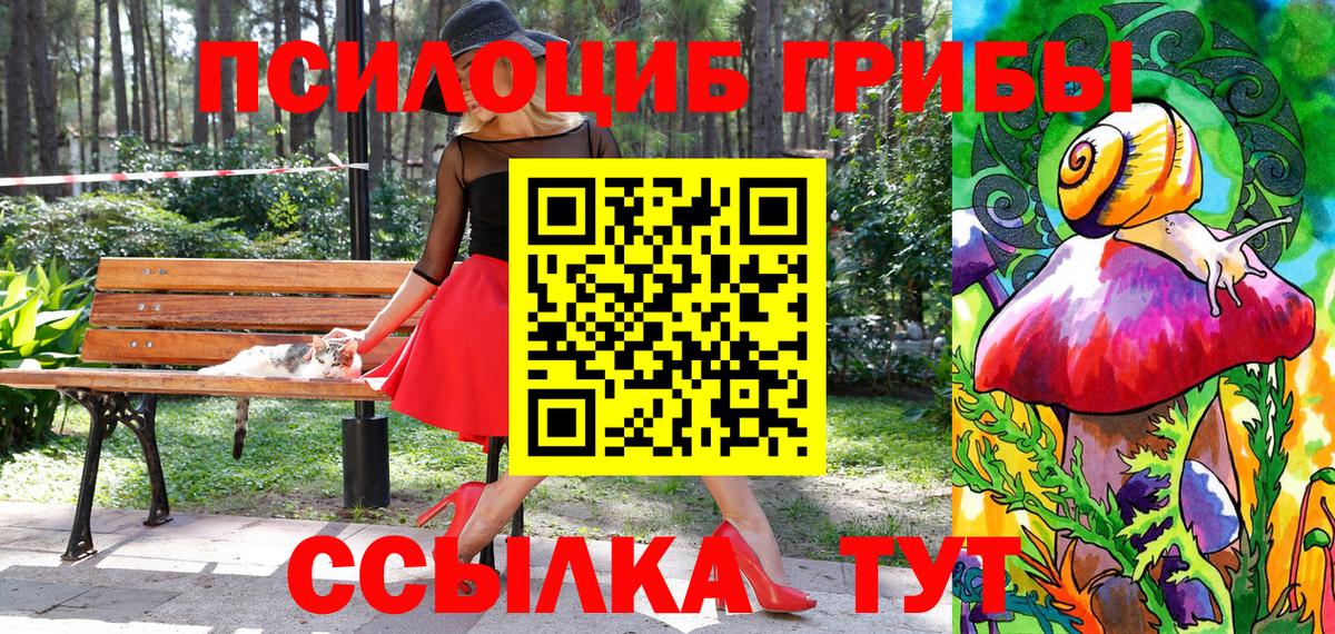 купить наркоту  Лыткарино  Псилоцибиновые грибы ЛСД 